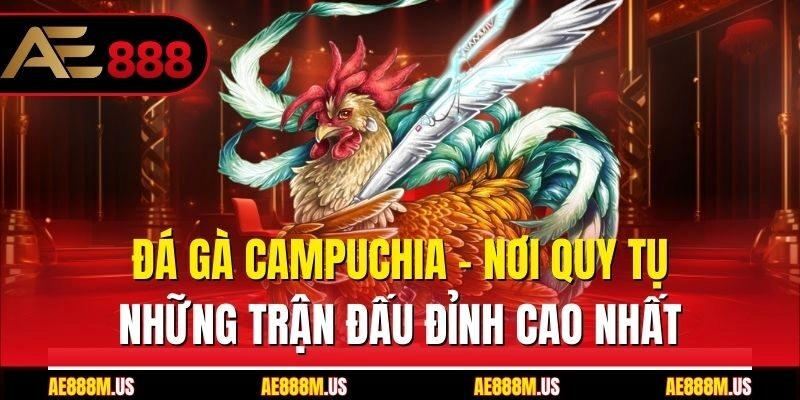 Đá Gà Campuchia - Nơi Quy Tụ Những Trận Đấu Đỉnh Cao Nhất