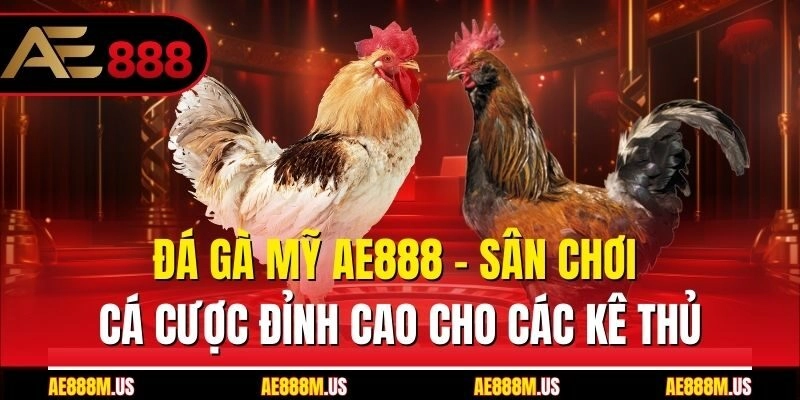Đá Gà Mỹ Ae888 – Sân Chơi Cá Cược Đỉnh Cao Cho Các Kê Thủ 