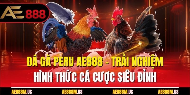 Đá Gà Peru Ae888 – Trải Nghiệm Hình Thức Cá Cược Siêu Đỉnh