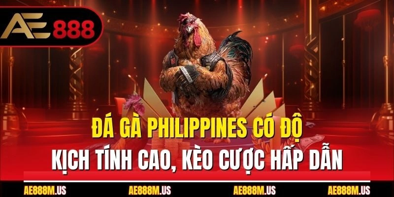 Đá Gà Philippines Có Độ Kịch Tính Cao, Kèo Cược Hấp Dẫn