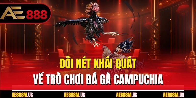 Đôi nét khái quát về trò chơi đá gà Campuchia