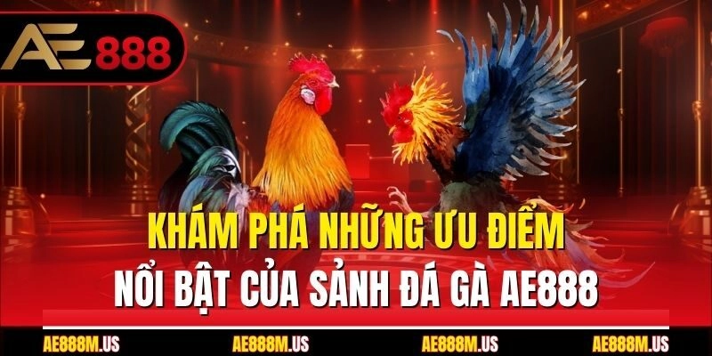 Khám phá những ưu điểm nổi bật của sảnh đá gà Ae888