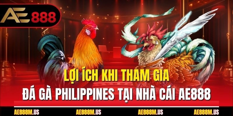 Lợi ích khi tham gia đá gà Philippines tại nhà cái Ae888
